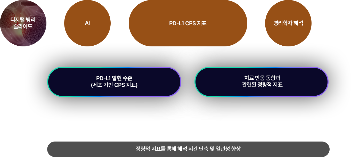 슬라이드 입력